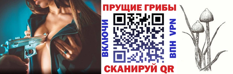 Галлюциногенные грибы Psilocybe Белогорск